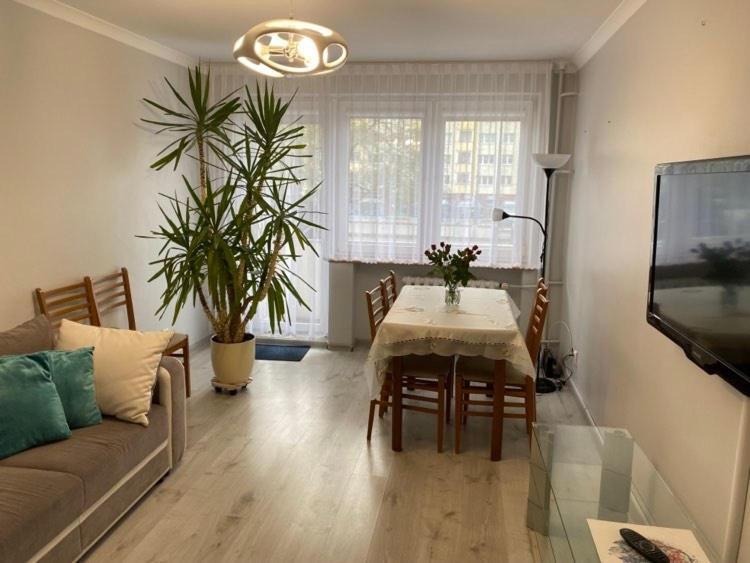 גורז'וב ווילקופולסקי Apartament Przy Katedrze מראה חיצוני תמונה